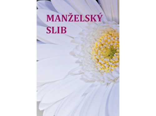 4064_0148 - MANZELSKY SLIB